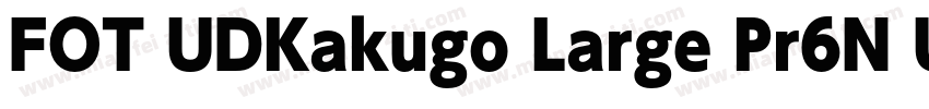 FOT UDKakugo Large Pr6N U字体转换